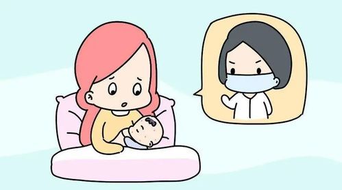 哺乳期母兔该如何科学管理呢？