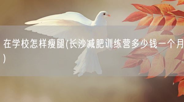 在学校怎样瘦腿(长沙减肥训练营多少钱一个月)(图1)