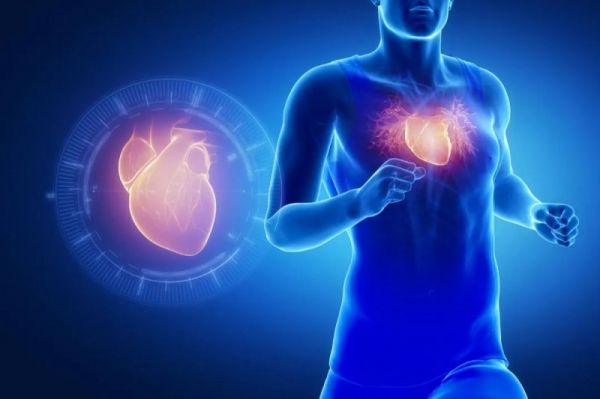 多燕瘦解析：科学运动如何塑造健康生活