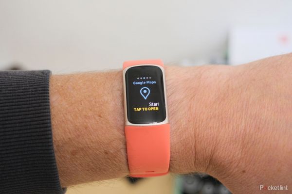 Fitbit 充电 6-4