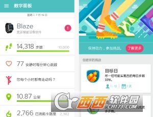 Fitbit健康追踪