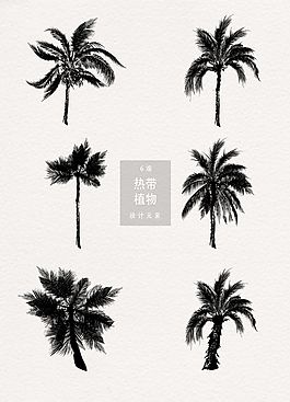 手绘热带植物剪影