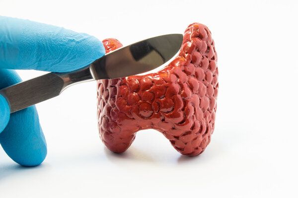 肝胆甲状腺外科检查什么
