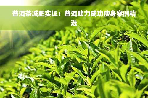普洱茶减肥实证：普洱助力成功瘦身案例精选