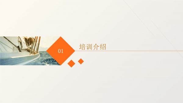 职业健康安全环境及安保培训_第3页