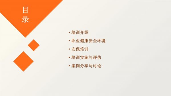 职业健康安全环境及安保培训_第2页