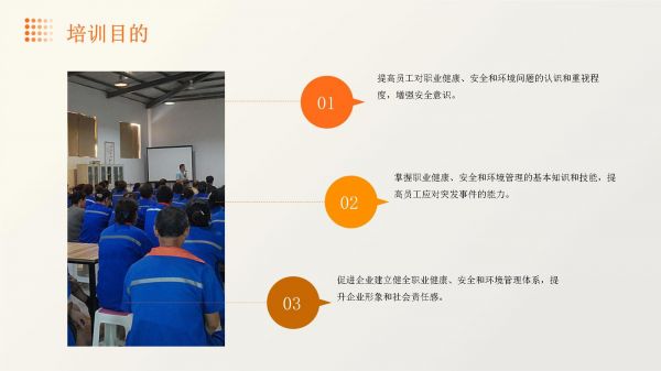 职业健康安全环境及安保培训_第4页