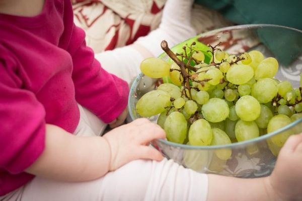 Get新知识：给宝宝添加辅食的4信号与2禁忌