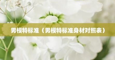 男模特标准（男模特标准身材对照表）