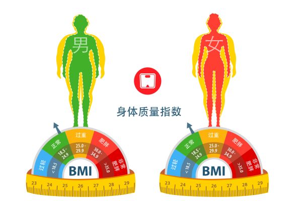 体重bmi图