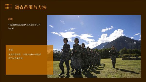 高原驻训官兵心理健康服务调查_第5页