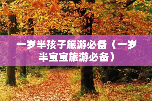 一岁半孩子旅游必备（一岁半宝宝旅游必备）