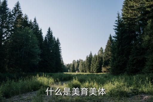 什么是美育美体