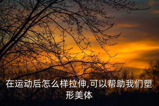 在运动后怎么样拉伸,可以帮助我们塑形美体