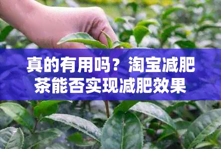 真的有用吗？淘宝减肥茶能否实现减肥效果
