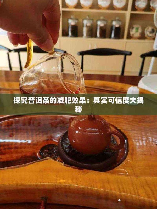 探究普洱茶的减肥效果：真实可信度大揭秘