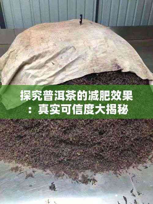 探究普洱茶的减肥效果：真实可信度大揭秘