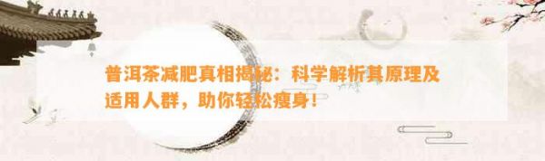 普洱茶减肥真相揭秘：科学解析其原理及适用人群，助你轻松瘦身！