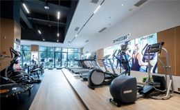 如何选购椭圆机?2024年力动品牌椭圆机十大排名推荐