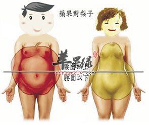 肥胖类型