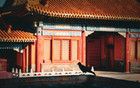 懂政治的人活得更通透