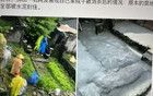 广东防蚊已经走歪，砸花盆，水泥封菜地，还想干啥？