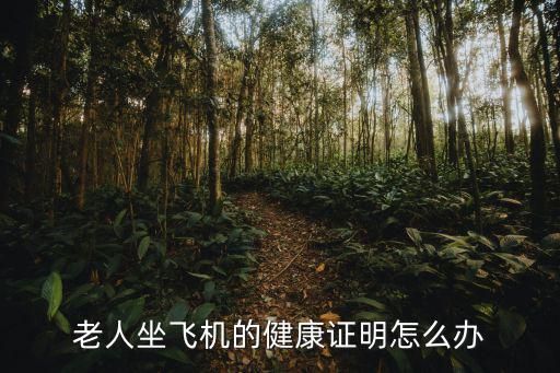 老人坐飞机的健康证明怎么办
