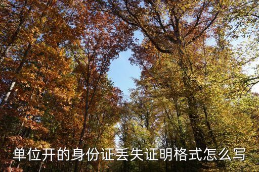 单位开的身份证丢失证明格式怎么写