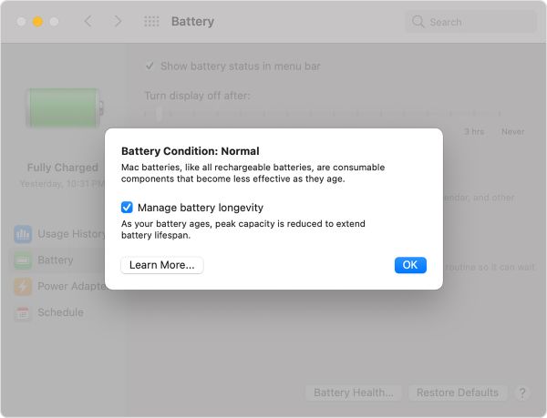 Battery System Preferences Battery Health modal window