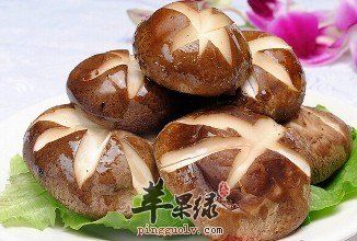 在生活中如何调理体质