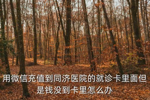 用微信充值到同濟(jì)醫(yī)院的就診卡里面但是錢沒到卡里怎么辦