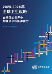 2025-2028年全球卫生战略