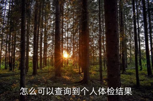 怎么可以查询到个人体检结果