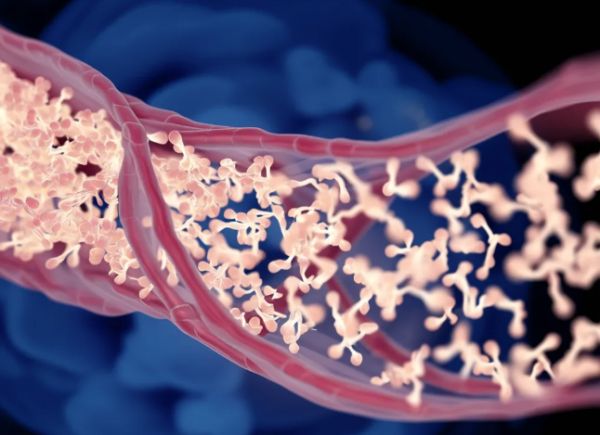 降压药对耳鸣的具体作用机制是什么？