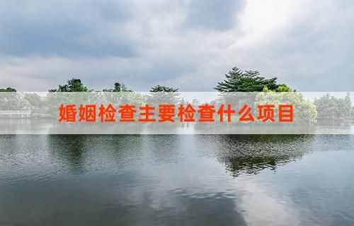婚姻检查主要检查什么项目