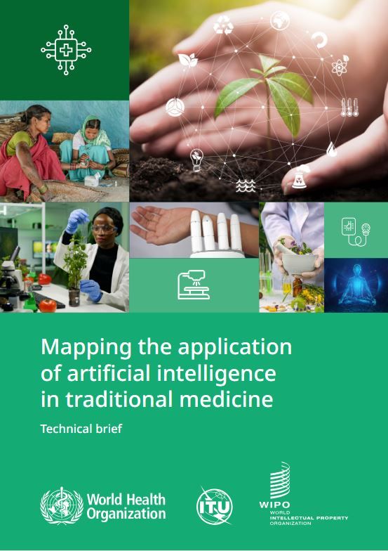 Mapping the application of artificial intelligence in traditional medicine: technical brief