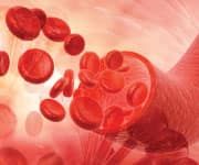 Computer representation of red blood cells