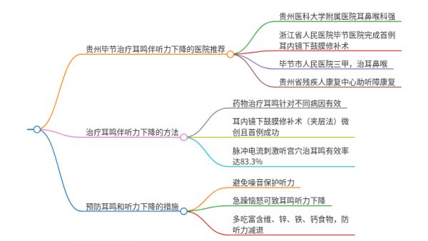 2025年貴州畢節(jié)治療耳鳴伴聽力下降的醫(yī)院有哪些