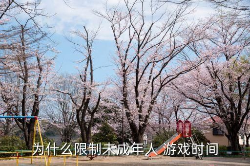 為什么限制未成年人 游戲時間
