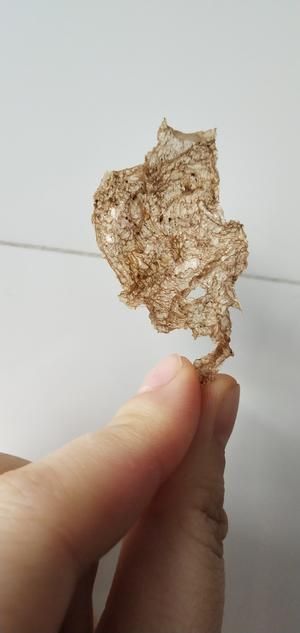 我的杜坎记录的做法 步骤3