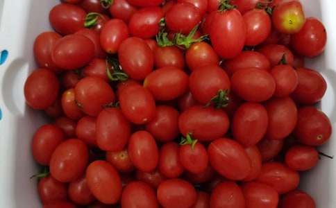 北方应季水果时间表