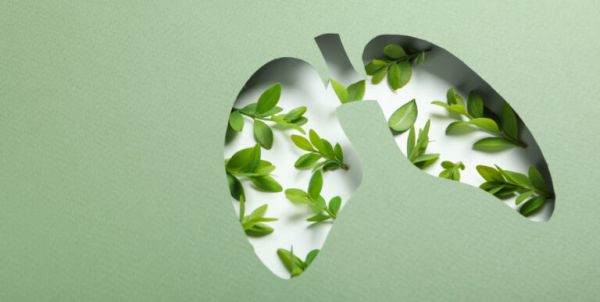 肝臟排毒首圖-01