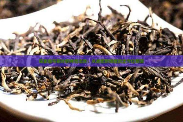 探索醋與茶葉的神奇功效：從減肥到保健的全方位解答