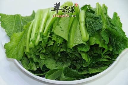 炒青菜也健康 推薦青菜健康吃法
