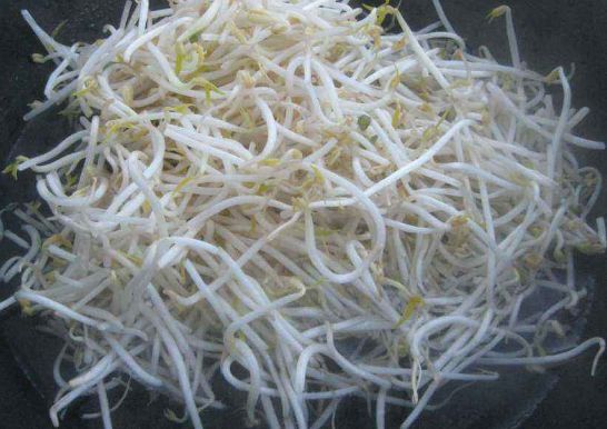 如何自發(fā)健康的綠豆芽