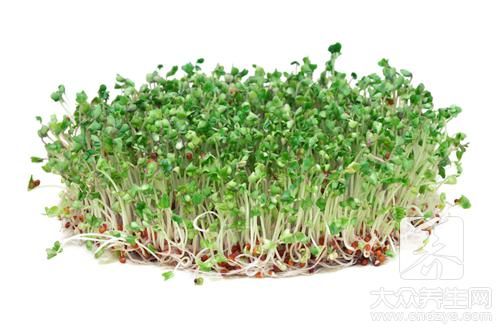警惕“漂亮”豆芽隱藏健康隱患