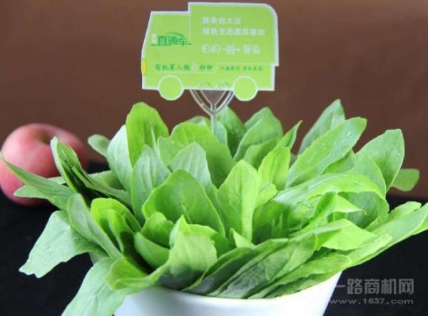 大漢火鍋加盟