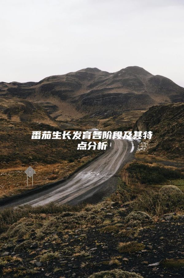 番茄生长发育各阶段及其特点分析