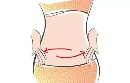 帶脈”堵塞=腹部肥胖