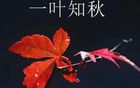 8.22股市早8点丨兵临3800点城下，拿下！